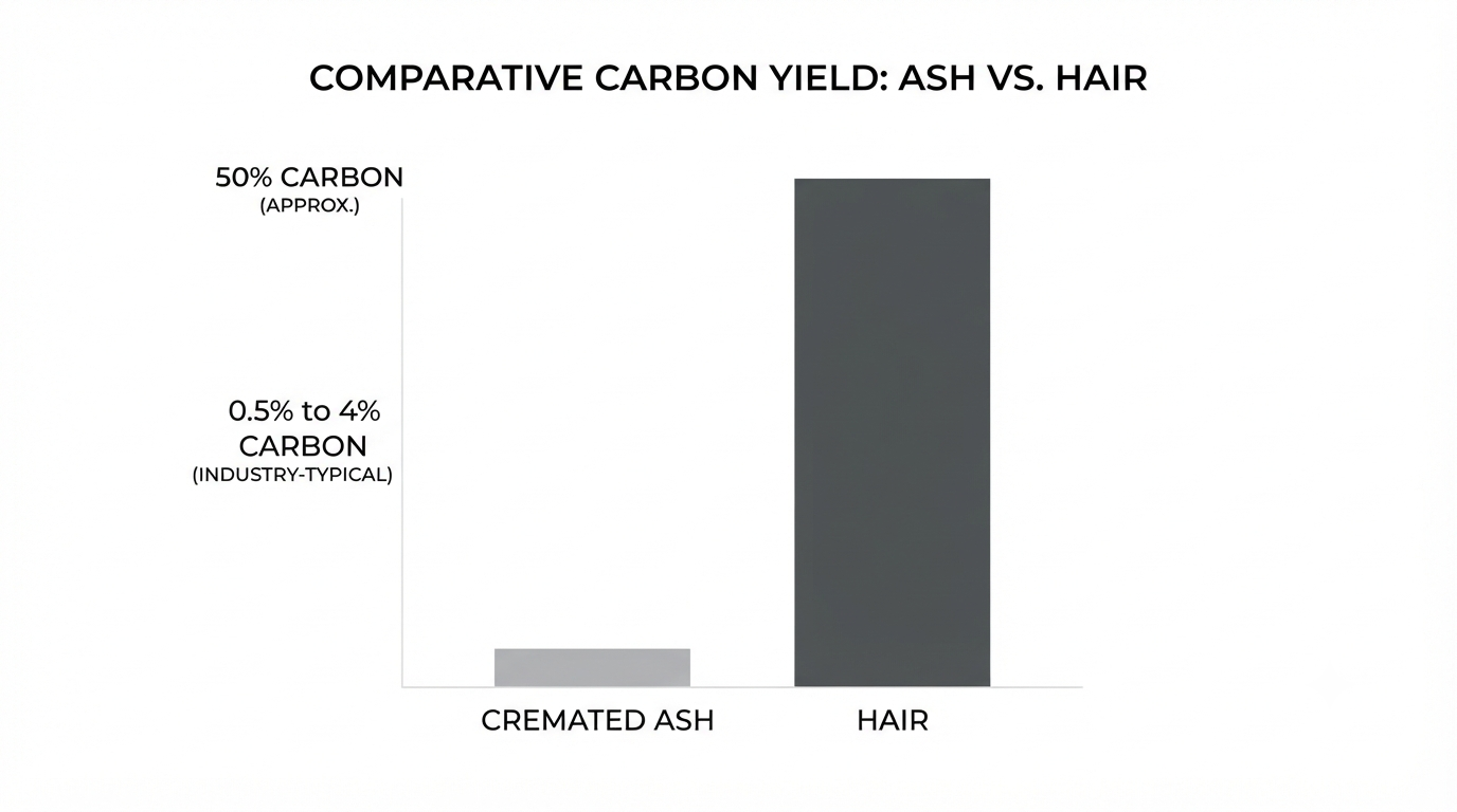 A simple bar comparison showing roughly 0.5 to 4 percent carbon in cremated ash against roughly 50 percent in hair