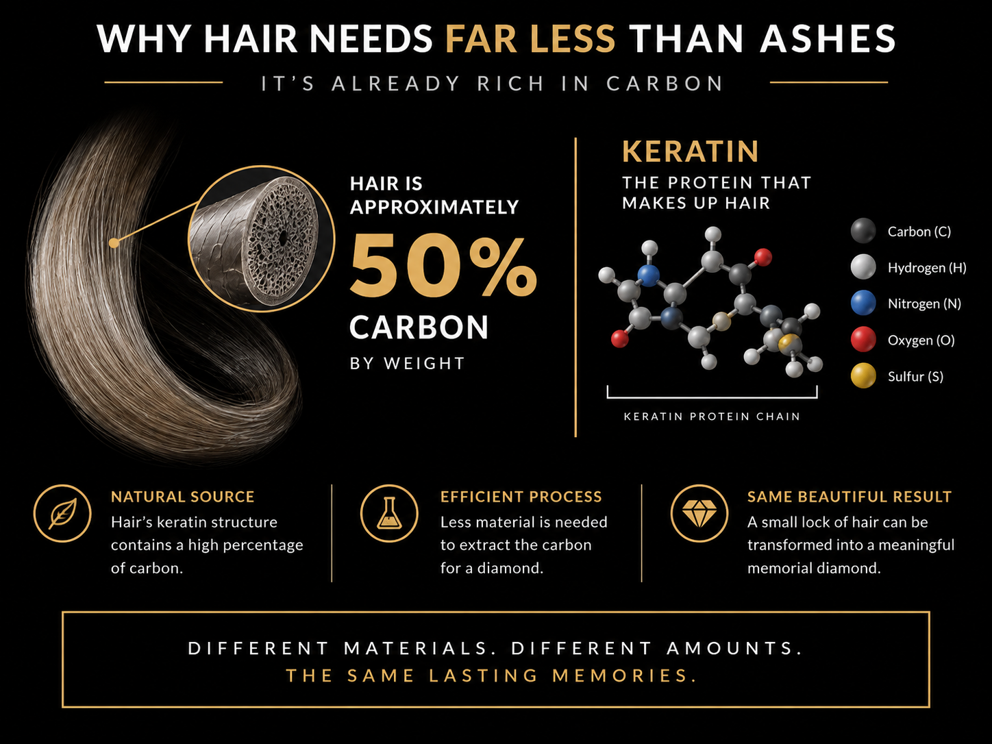 Simple diagram showing hair at roughly fifty percent carbon by weight beside its keratin protein structure