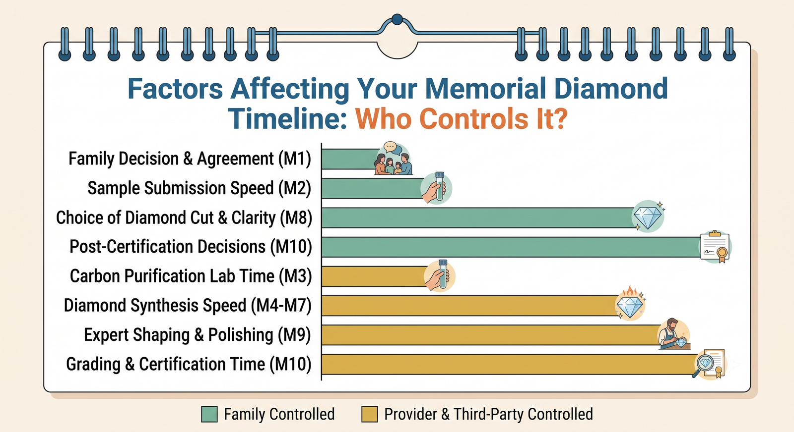 Simple bar chart of eight timeline factors, four colored for the family and four for providers and third parties