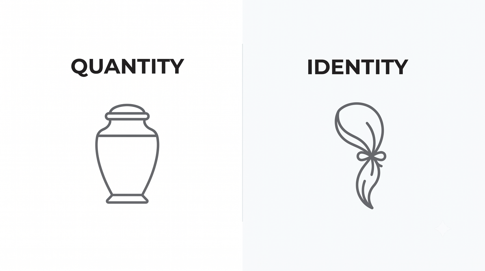 A simple two-column graphic labelled quantity and identity, one over an urn icon and one over a hair-lock icon